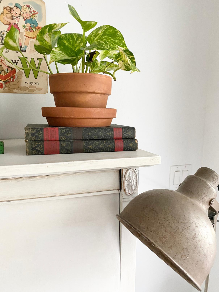 Vintage dictionaries stacked with a houseplant on top as back to school decor