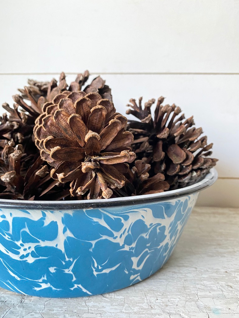 Blue enamelware swirl bowl filled with pinecones as winter decor
